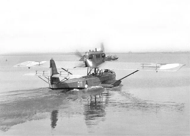 Dornier Wal MLD D11.