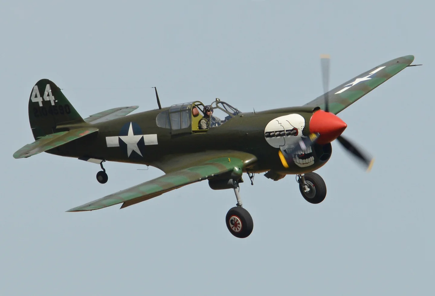 Curtiss P-40 Warhawk — real-aircraft reference photograph.
