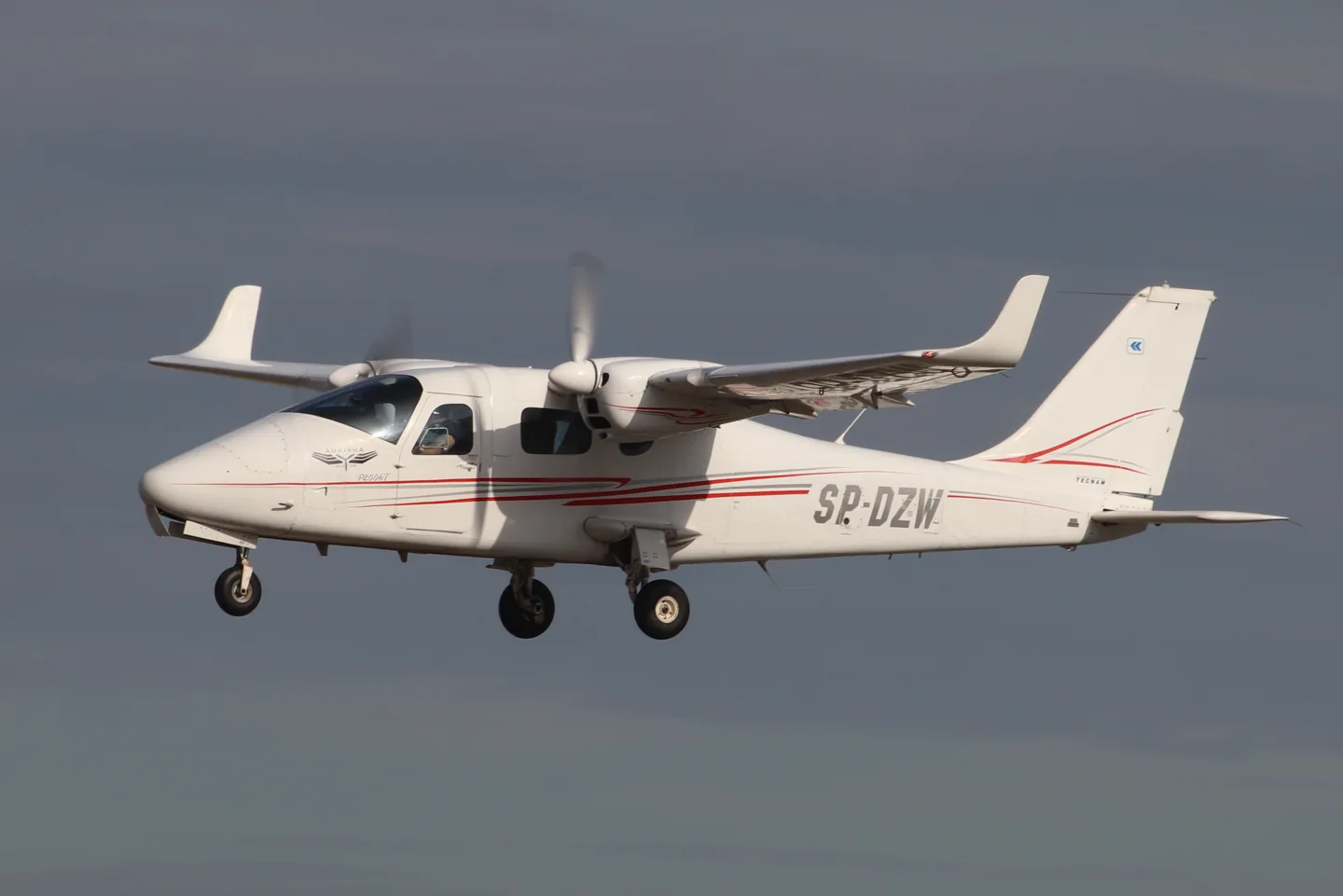 Tecnam P2006T — real-aircraft reference photograph.