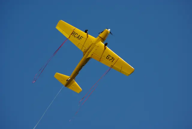 Chipmunk with ribbons at Old Warden 2008