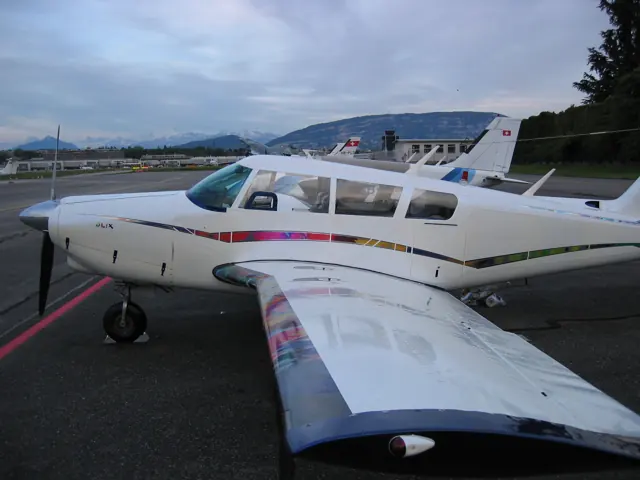 PA-24-260B with custom paint