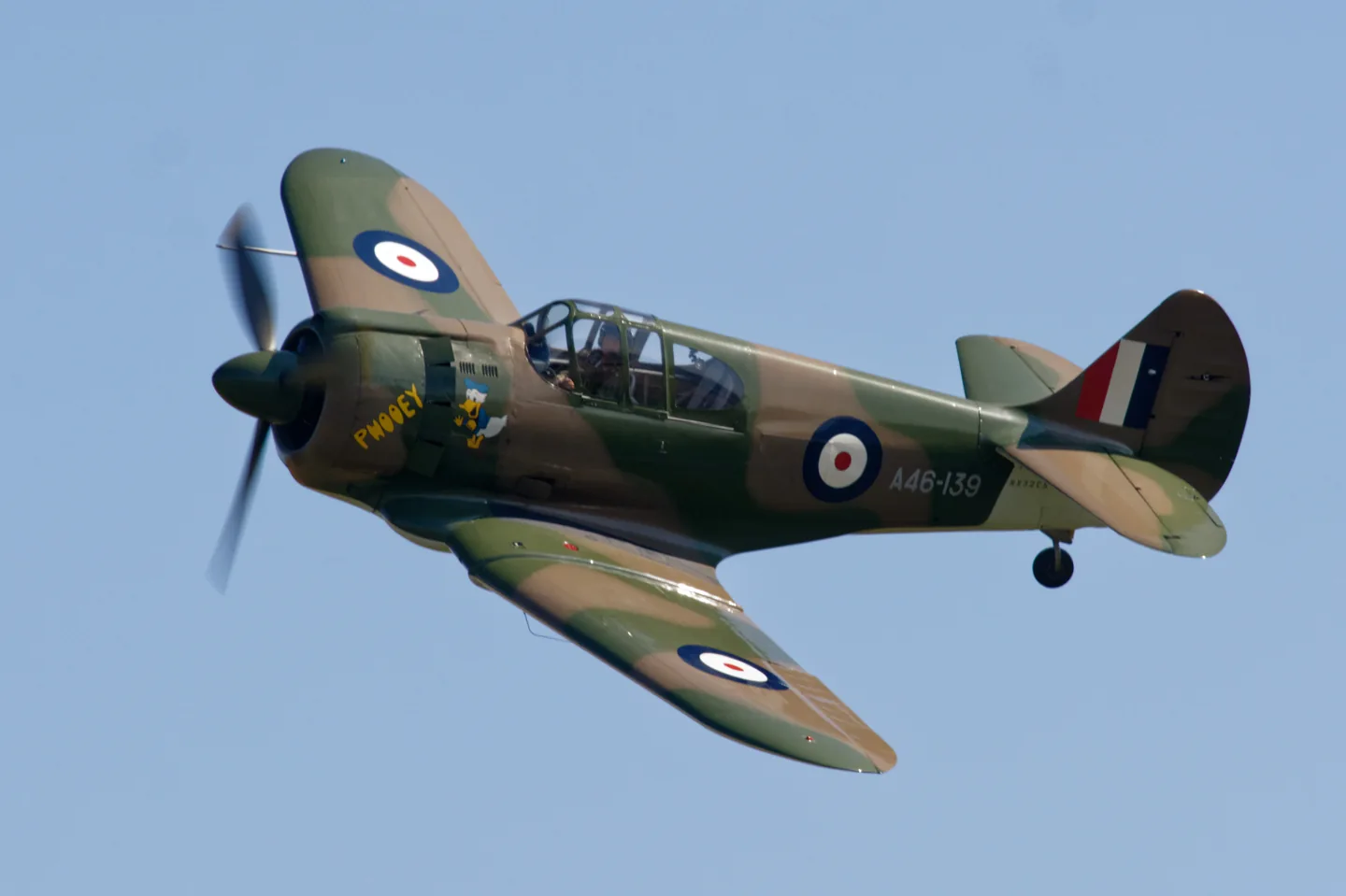 CAC Boomerang.