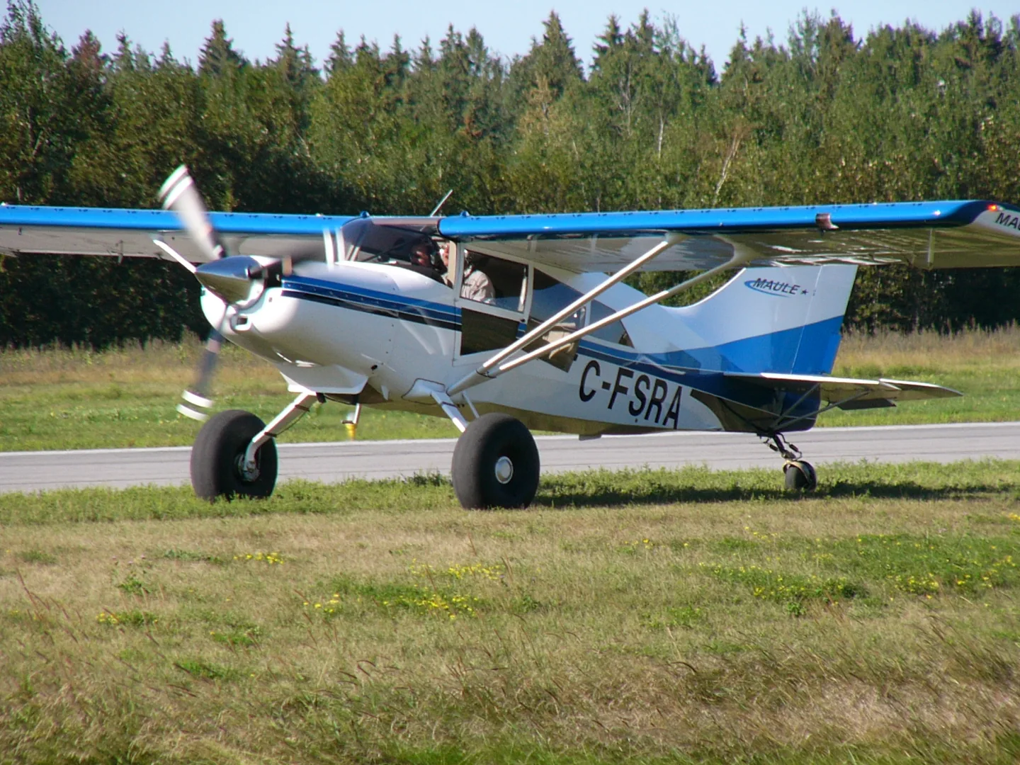A member of the Maule M-7 family; the simulator listing represents the M-7-235B.