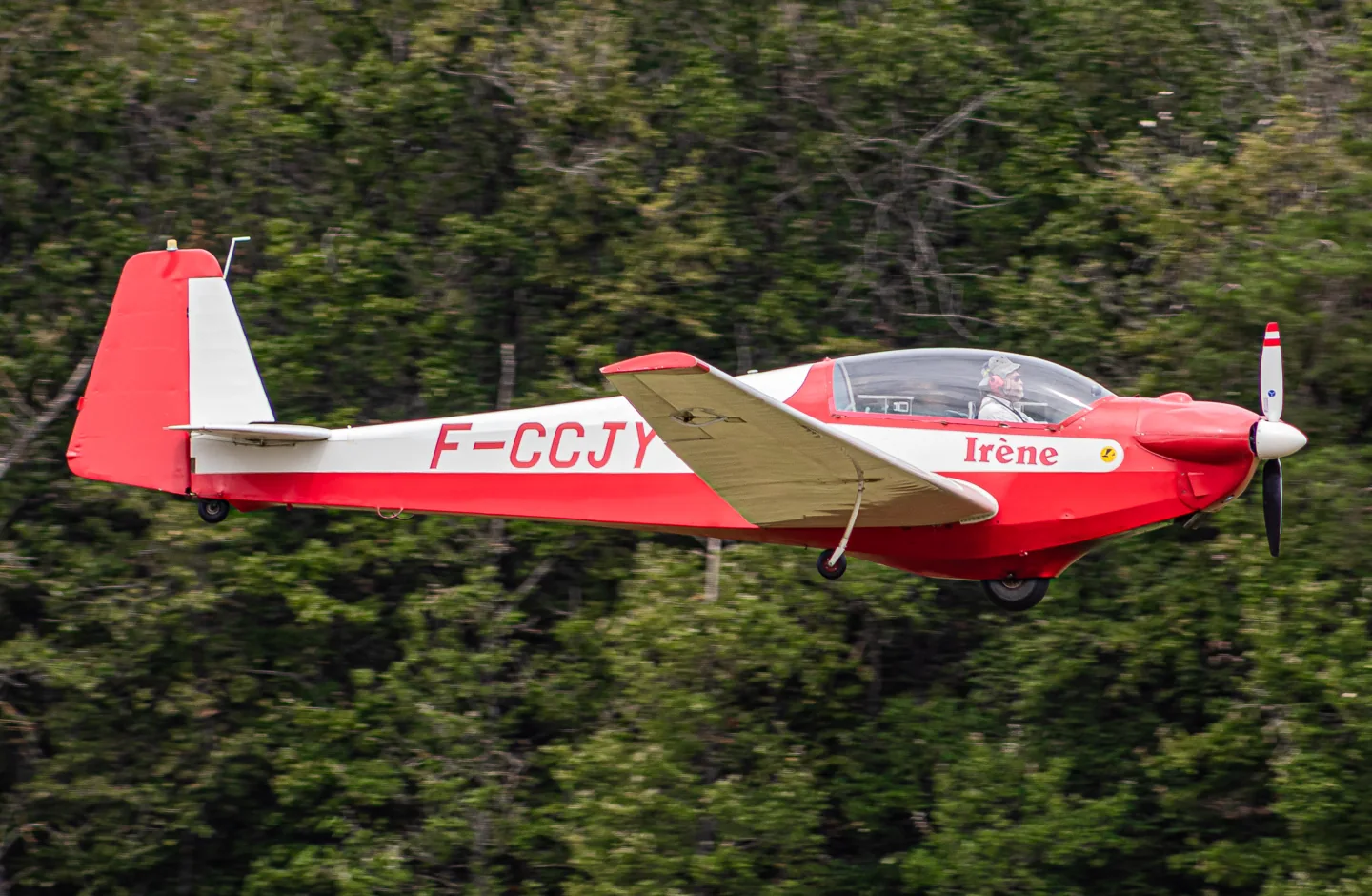 Scheibe SF-28A Tandem Falke.